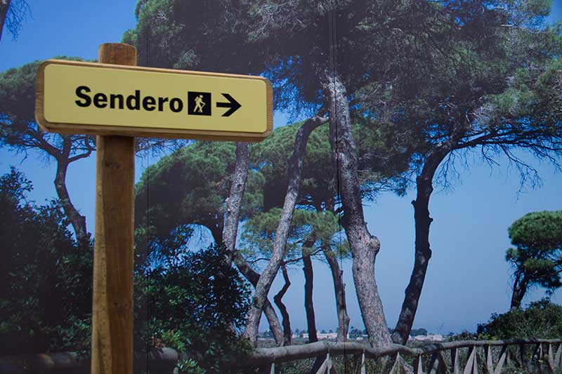 Señaletica señalización